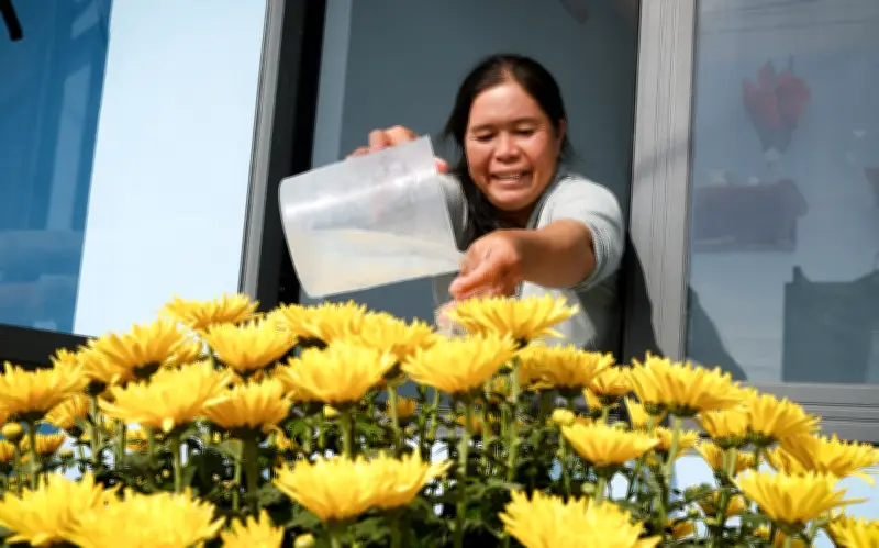 Khu tái định cư Đề Gi hồi sinh rực rỡ sau bão lũ, đón Tết sum vầy trong nhà mới