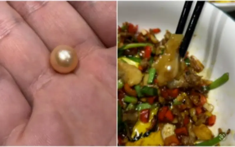 Khách hàng Trường Sa tìm thấy ngọc trai hồng trong món nghêu xào hẹ giá rẻ