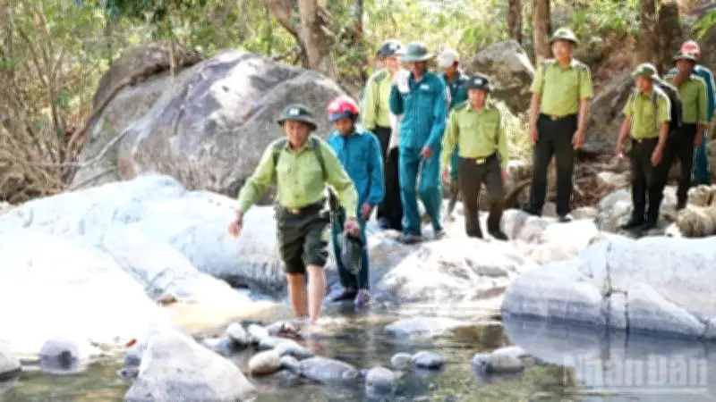Kiểm lâm Phước Bình đón Tết giữa rừng sâu: Bánh chưng, võng bạt và trách nhiệm