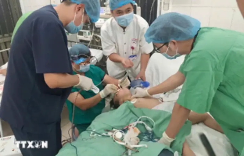 Kịp thời cứu sống bệnh nhi mắc hạt hướng dương đường thở nguy kịch