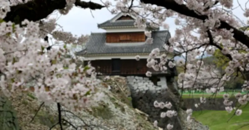 Kyushu - Điểm Đến Du Xuân Sớm Với Hoa Anh Đào Và Văn Hóa Độc Đáo