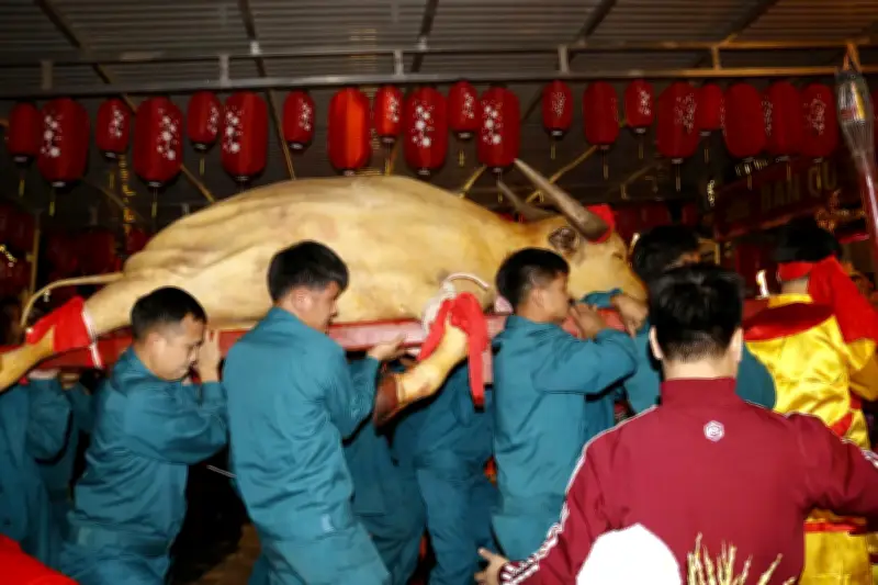 Lễ Hội Đền Đại An Lào Cai: Tế Trâu Trắng Và Rước Mẫu Đầu Xuân