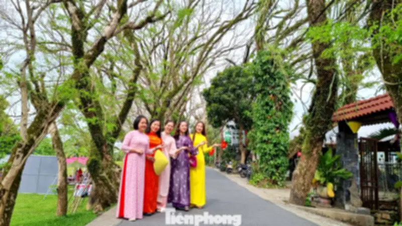 Lễ hội Đình làng Hương Trà 2026: Tôn vinh cội nguồn và bảo tồn di sản văn hóa