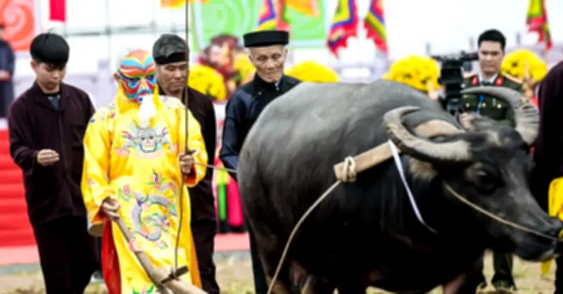 Lễ Hội Tịch Điền Đọi Sơn 2026: Tái Hiện Nghi Lễ 'Vua Đi Cày' Với Ước Vọng Mùa Màng Bội Thu