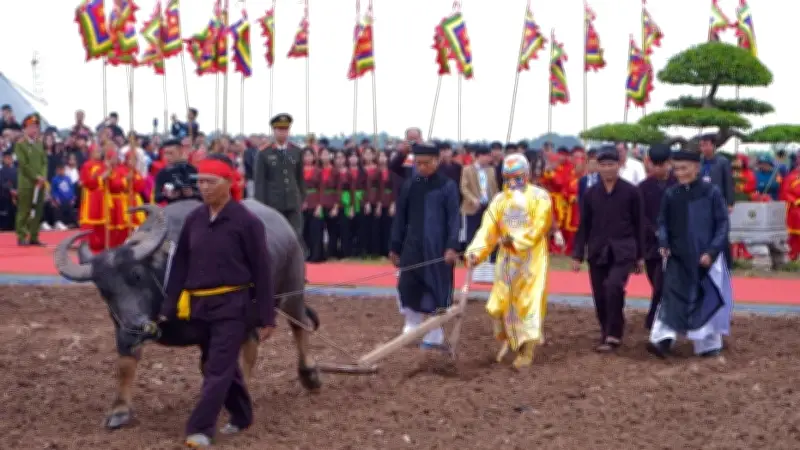 Lễ Hội Tịch Điền Đọi Sơn: Tái Hiện Nghi Lễ Cày Ruộng Của Vua Lê Đại Hành