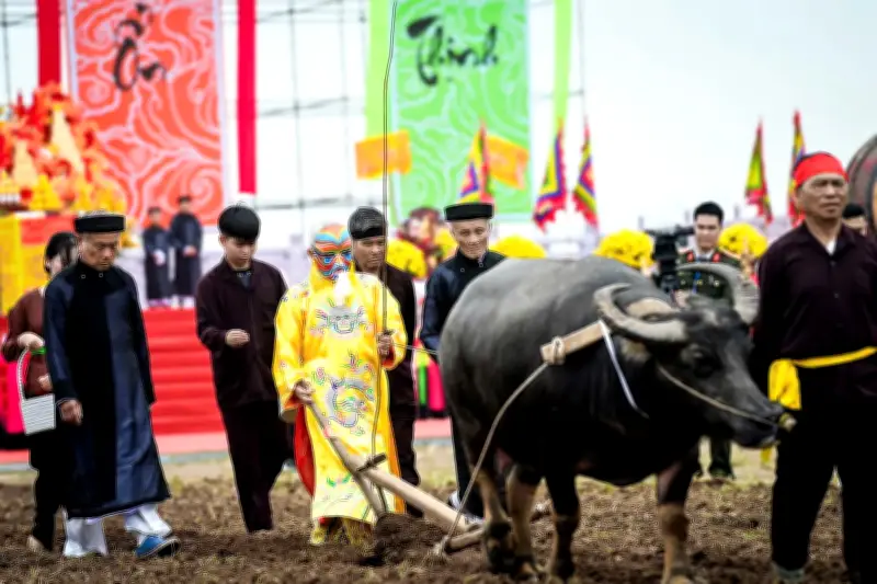 Lễ Tịch Điền Đọi Sơn: Nghi Lễ Ngàn Năm Tôn Vinh Nghề Nông