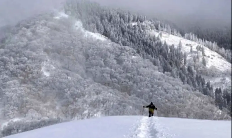 Lao động Việt Nam thiệt mạng khi leo núi tại Nhật Bản, nguyên nhân đang được điều tra