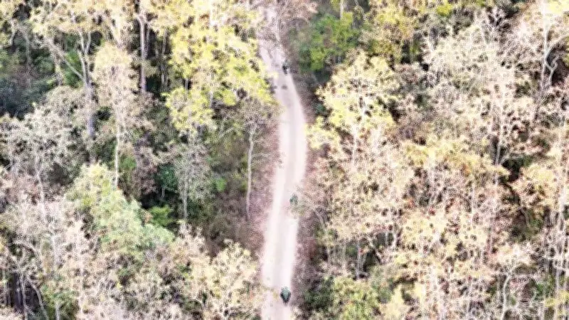 Lực lượng giữ rừng Lâm Đồng đón Tết xa nhà, tăng cường tuần tra phòng cháy, chặt phá