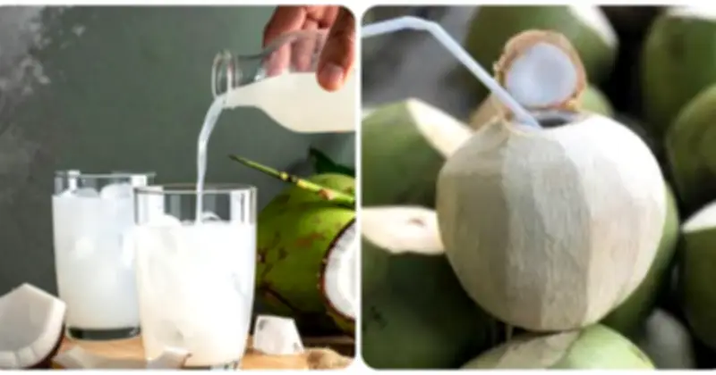 Lợi ích bất ngờ của nước dừa tươi khi uống vào buổi sáng