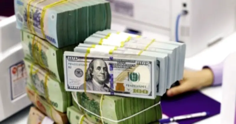 Lãi suất qua đêm giảm mạnh về vùng 4%, tỷ giá USD liên ngân hàng bật tăng mạnh