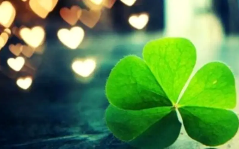 Đời người có 5 cơ hội đổi vận, nắm bắt được dù chỉ một là cuộc sống rực rỡ