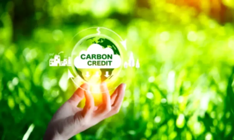 Liên Hợp Quốc Phê Duyệt Tín Chỉ Carbon Đầu Tiên Theo Cơ Chế Mới