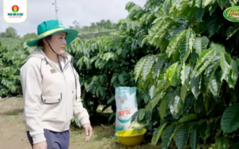 Livestream Đặc Biệt Mùa Vàng Thắng Lớn 2025 Tôn Vinh Nét Đẹp Phụ Nữ Nông Thôn