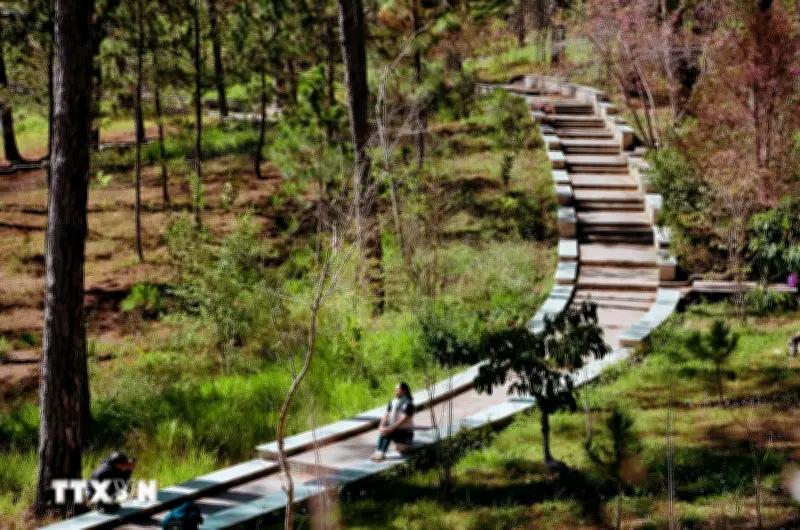 Lâm Đồng tham gia dự án đường đẹp không góc chết ngay tại lòng Đà Lạt