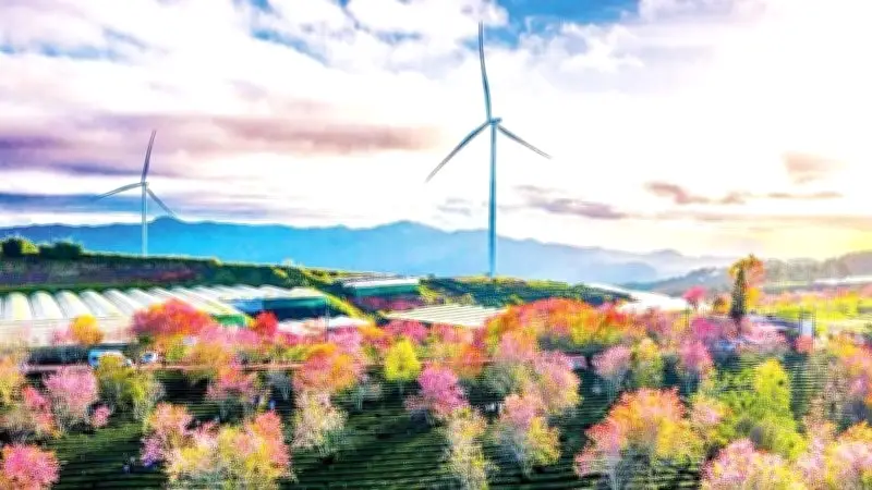 Lâm Đồng đẩy mạnh phát triển năng lượng tái tạo, hướng tới trung tâm năng lượng khu vực