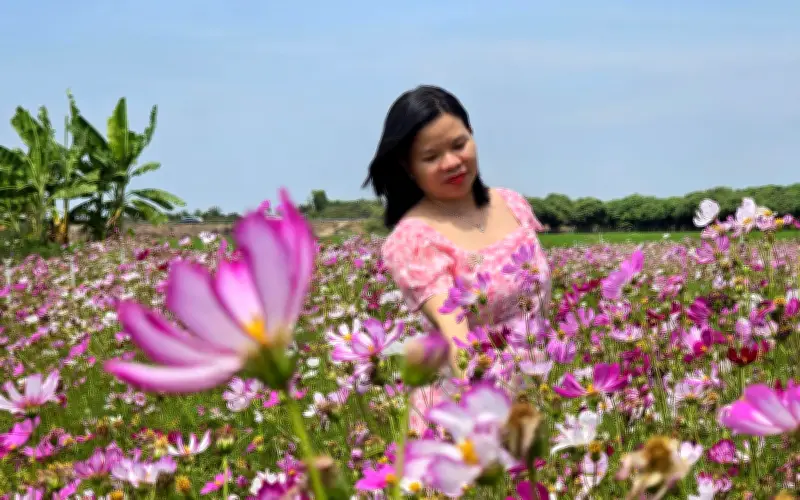 Lượng khách đổ về Núi Cấm dịp Tết tăng mạnh, tạo không khí nhộn nhịp