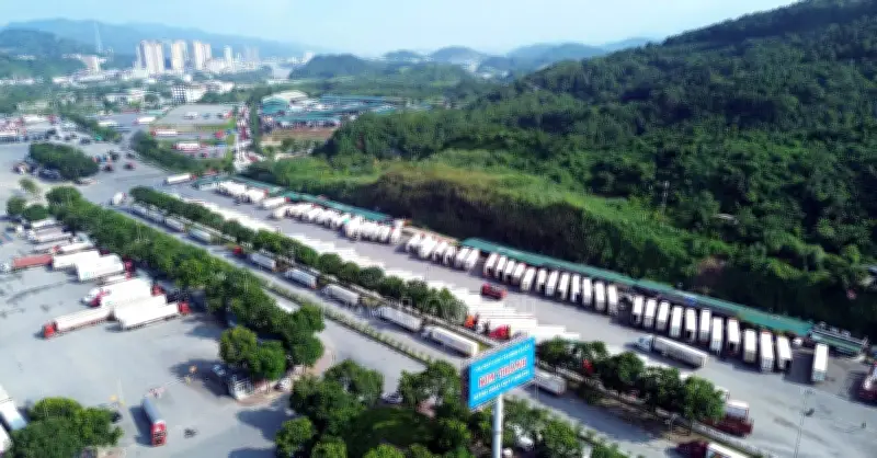 Lào Cai Sau Sáp Nhập: Vượt Bão, Tăng Trưởng 8,14% Và Tầm Nhìn Đến 2050