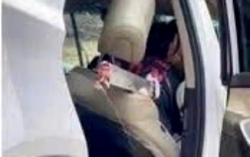 Lào Cai: Ô tô con văng khỏi cao tốc Nội Bài - Lào Cai, một nạn nhân bị thanh sắt đâm xuyên ngực