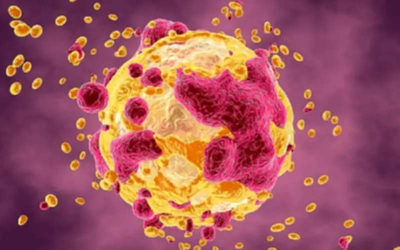 Loại cá nuôi lớn tế bào ung thư, dù ngon người Việt cũng không nên ăn nhiều