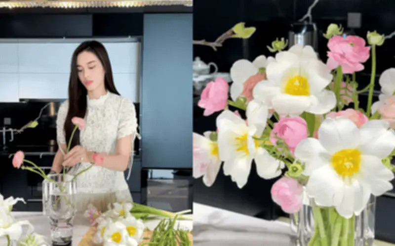Loài hoa nghìn lớp được hoa hậu Đỗ Hà cắm Tết: Đặc điểm và ý nghĩa đặc biệt