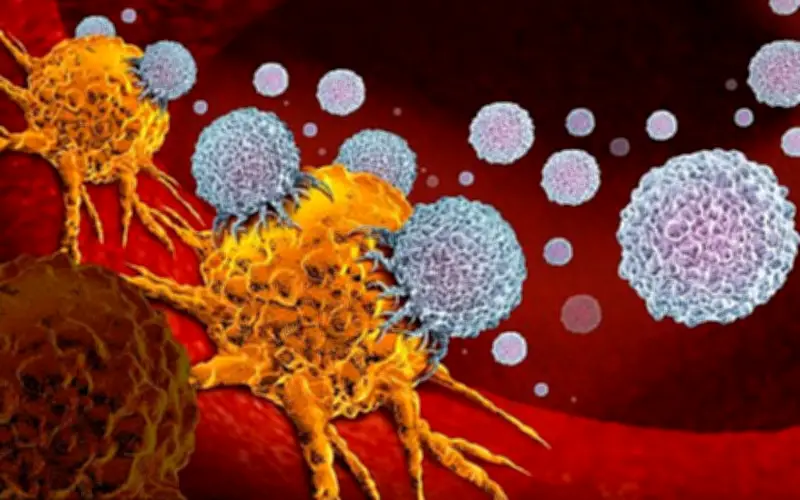 Loại rau quen thuộc trên mâm cơm người Việt có thể nuôi lớn tế bào ung thư nếu ăn sai cách