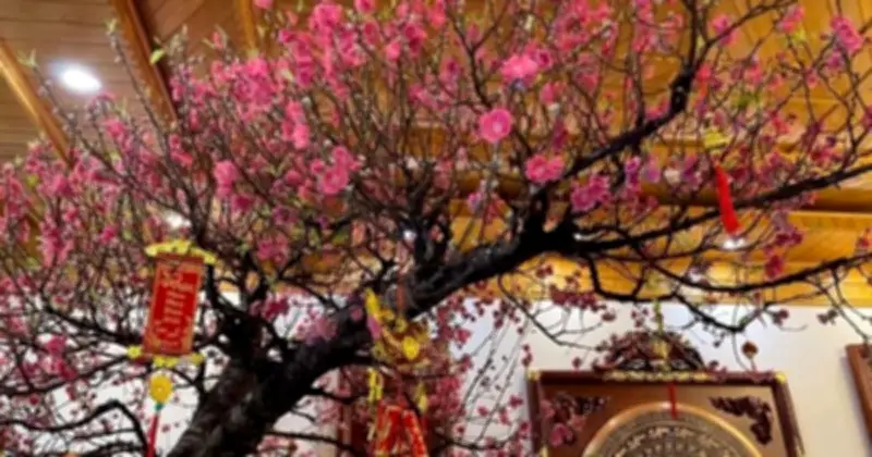 Tết Bính Ngọ 2026: 3 loại cây phong thủy đặt trong nhà đón tài lộc, vạn sự hanh thông