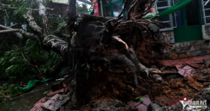 Lấy lý do bão để xù nợ 35 triệu đồng, con nợ nhận cái kết bẽ bàng