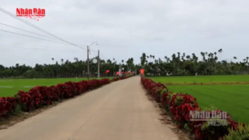 Mộ Đức thay da đổi thịt với Nông thôn mới nâng cao, nông dân làm giàu trên đất quê