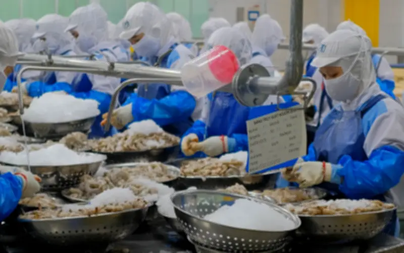 Mỹ công bố kết quả cuối cùng rà soát thuế chống bán phá giá tôm Việt Nam