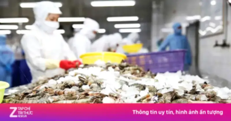 Mỹ Giảm Mạnh Thuế Chống Bán Phá Giá Với Tôm Việt, Tạo Đà Cho Xuất Khẩu