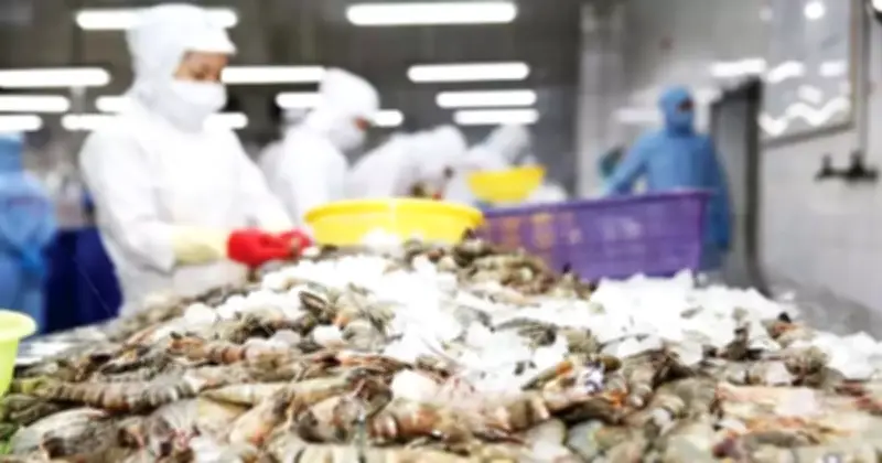Mỹ giảm mạnh thuế chống bán phá giá với tôm Việt, xuất khẩu hứa hẹn tăng tốc