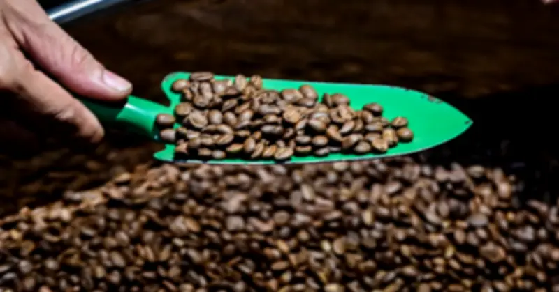 Mở hàng đầu năm, nhiều nước chi tiền gấp 3-4 lần mua hạt dưa Việt Nam