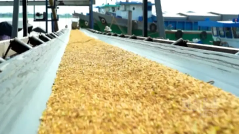 Mô hình tuần hoàn rơm rạ giảm 30% khí nhà kính, tăng thu nhập nông dân 24%