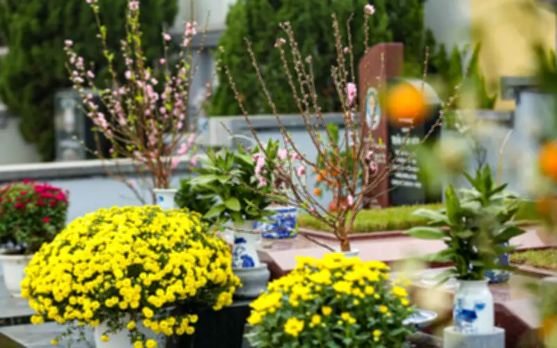 Mùa Chạp Mả: Hành trình trở về với cội nguồn và ký ức tuổi thơ