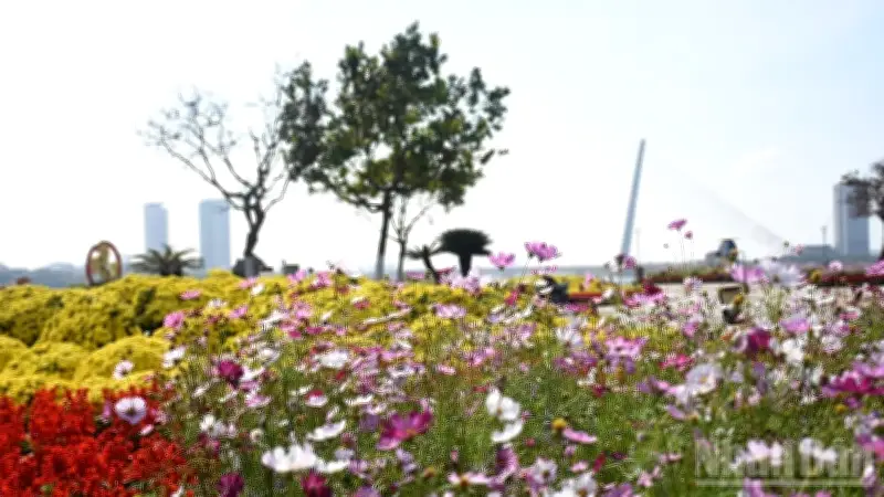 Mùa xuân Đà Nẵng: Tết cổ truyền lan tỏa yêu thương và kết nối cộng đồng