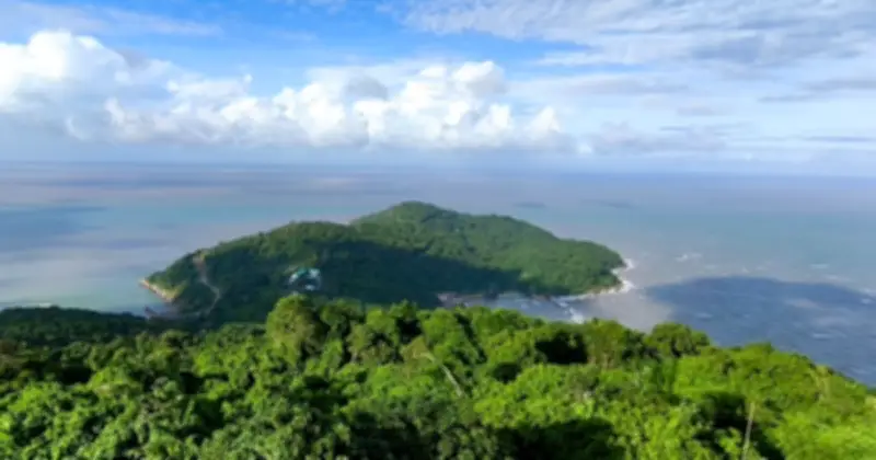 Mùa Xuân Trên Đảo Hòn Khoai: Bắt Đầu Từ Nhiệm Vụ Và Tình Quân Dân