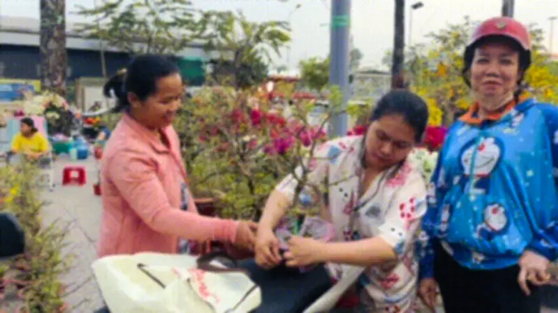 Mai mini giá rẻ 'lên ngôi' dịp Tết, phù hợp với không gian sống nhỏ