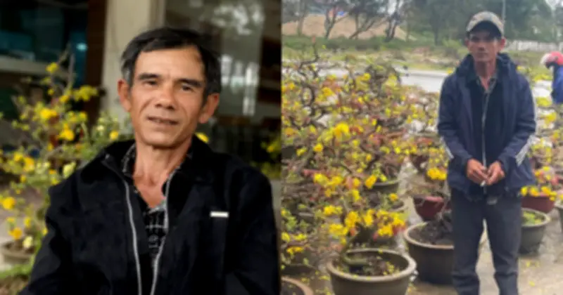Người đàn ông Gia Lai bán mai Tết ở Nghệ An: Từ khách 'quên' trả tiền đến cơn mưa ủng hộ
