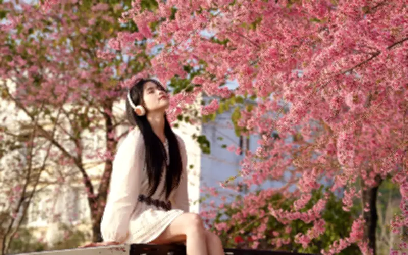 Mộc Châu Rực Rỡ Ba Mùa Hoa Xuân: Điểm Du Xuân Lý Tưởng Gần Hà Nội