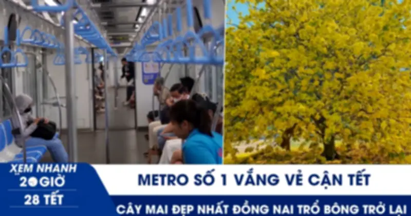 Metro TP.HCM 'dễ thở' dịp Tết, cây mai 70 tuổi Đồng Nai nở hoa trở lại sau 2 năm