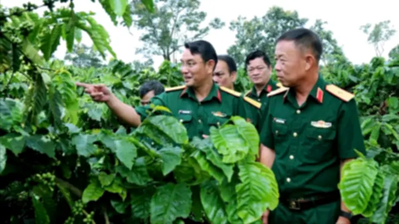Doanh nghiệp quân đội Tây Nguyên: Kết hợp kinh tế, quốc phòng và trách nhiệm xã hội