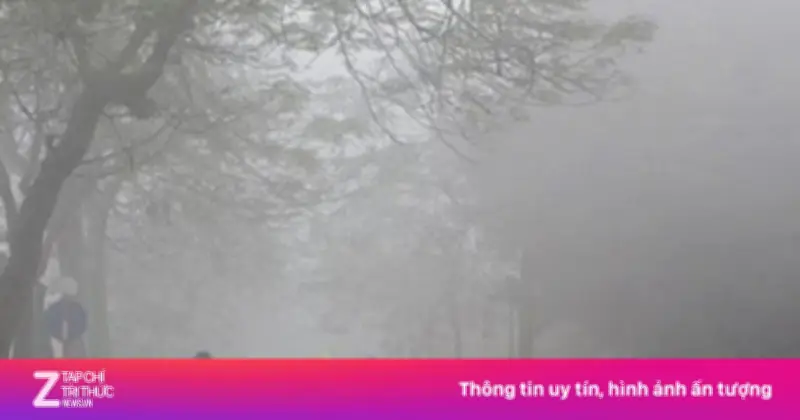 Miền Bắc bước vào cao điểm nồm ẩm, nhà cửa 'đổ mồ hôi' suốt tháng 3