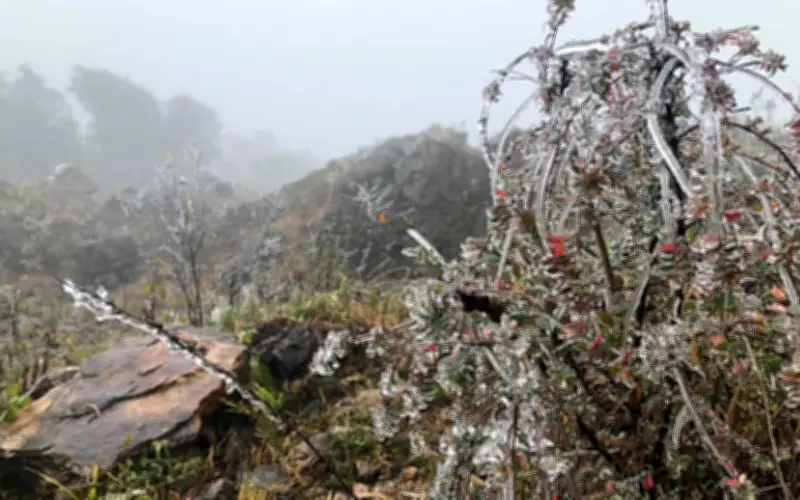 Miền Bắc duy trì trạng thái rét và sương mù dày đặc, cảnh báo giao thông và sức khỏe