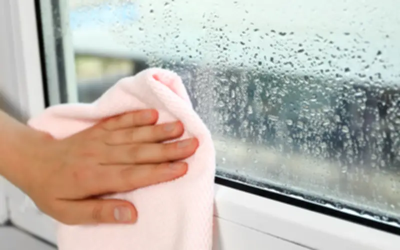 Miền Bắc đối mặt với nồm ẩm kéo dài, dự báo mưa dông và mẹo phòng tránh