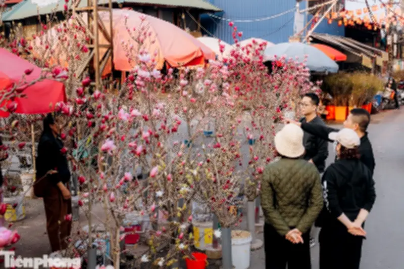 Miền Bắc ấm áp trước Tết, Nam Bộ nắng nóng cục bộ trong dịp lễ