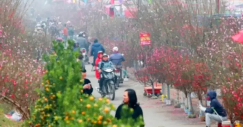 Miền Bắc đón hai đợt không khí lạnh trong dịp Tết Nguyên đán, trời rét về đêm và sáng