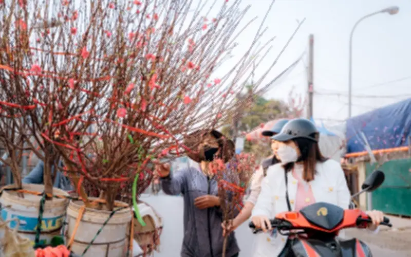 Miền Bắc đón đợt không khí lạnh mạnh, nhiệt độ giảm sâu từ đêm giao thừa