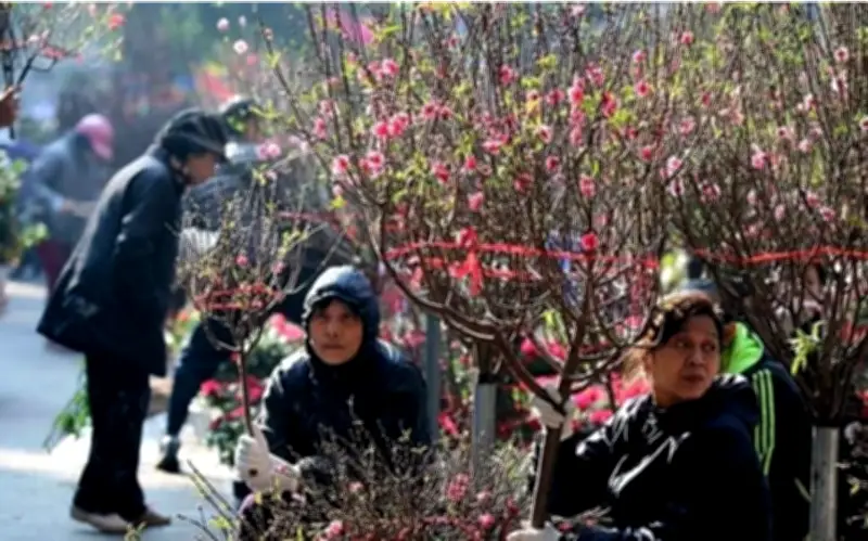 Miền Bắc sắp đón đợt không khí lạnh mạnh, thời tiết Tết phân hóa rõ rệt