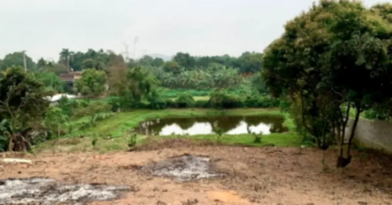 Bộ NN&MT hướng dẫn thủ tục xin chuyển đất vườn 500m2 thành thổ cư từ năm 1995