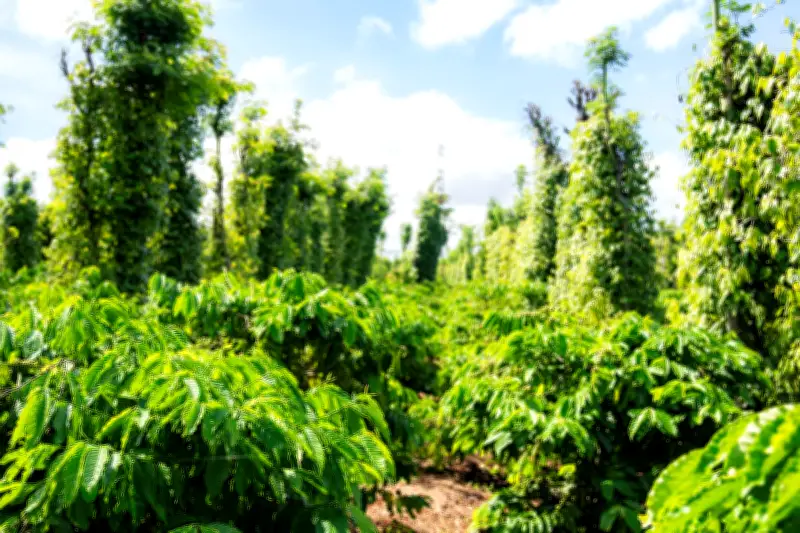 Bộ Tài chính công bố chính sách mới về tiền sử dụng đất áp dụng từ năm 2026